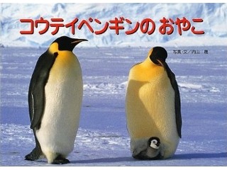 コウテイペンギンのおやこ