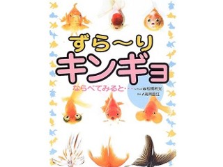 ずら～りキンギョならべてみると…