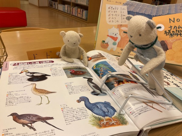 ぬいぐるみおとまり会の様子